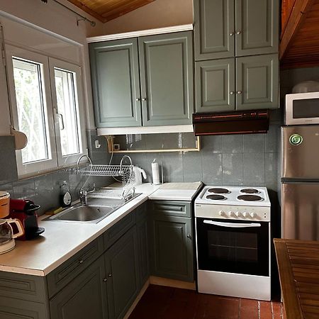 Antonis'S Garden House Apartment Athens Luaran gambar
